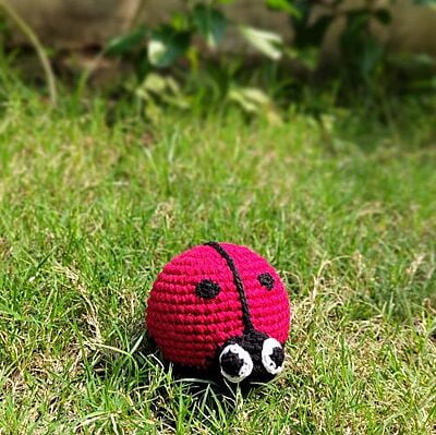 Ladybird Rattle