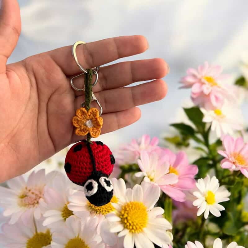 Crochet Ladybug Keychain Crochet Ladybug Keychain
