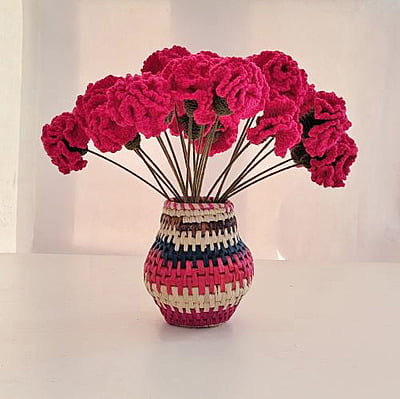 Carnation (Bunch of 6)